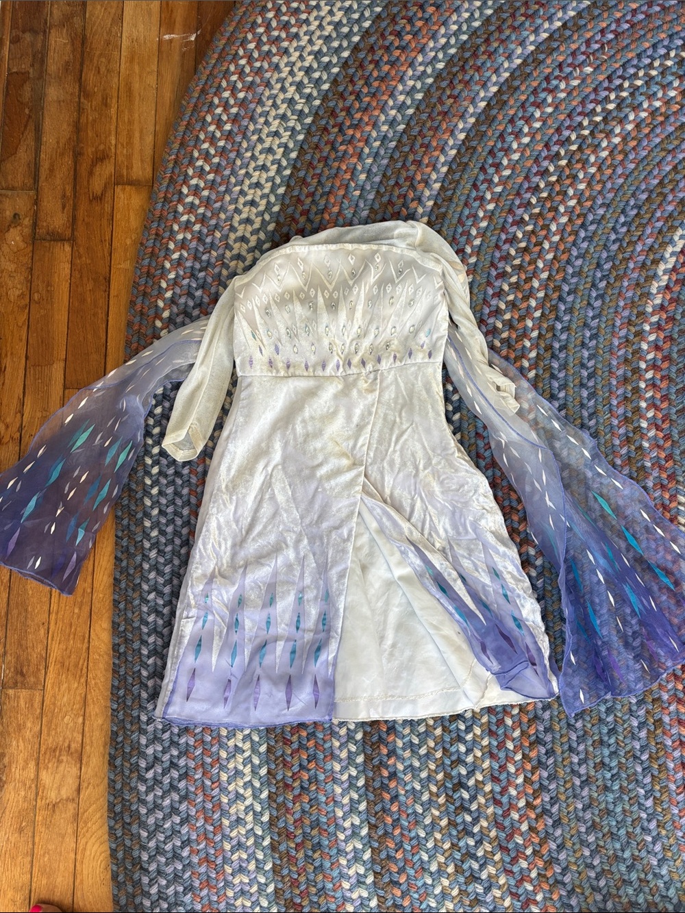 Frozen 2 Elsa Costume